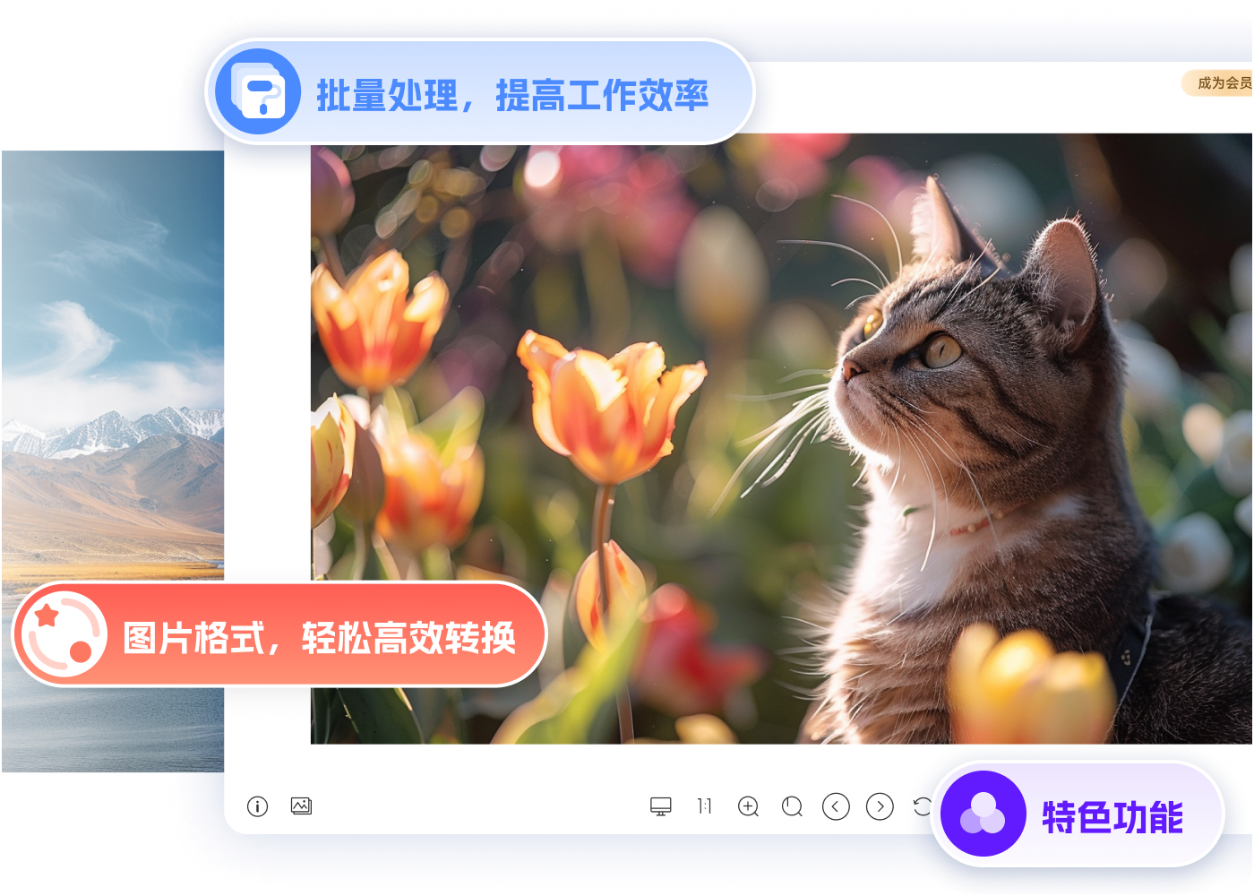批量处理